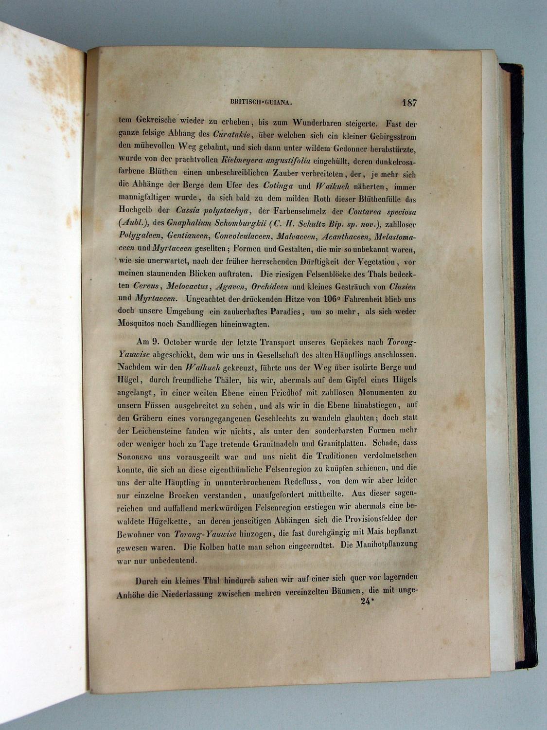 ZZ-RISC48,S.187 9.Oktober